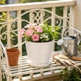 thumbnail image 4 of romoty Flower Petal Shaped Plastic Plant Pot with Saucer White, 6.3 in Lightweight Decorative Succulent Planter with Drainage Hole for Indoor Outdoor Desk Garden Decor, 4 of 6