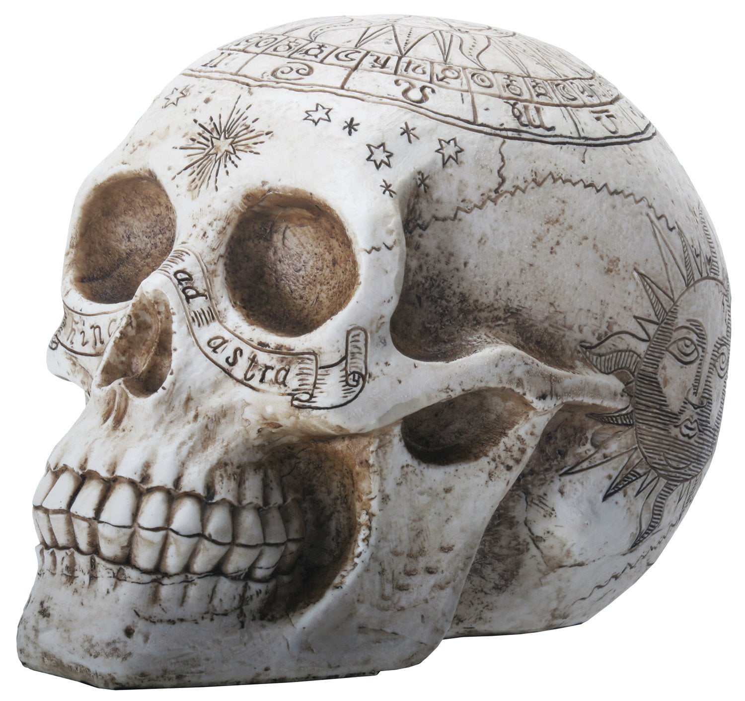 Skull with Axe in Head Figurine Statue Skeleton Halloween 