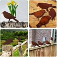 thumbnail image 4 of Pájaros oxidados con tornillos Pájaros Jardín Silueta Decoración Deco Metal oxidado Jardín Patio Arte Pájaros de metal Adornos de pájaros Patio Patio Paisaje, 4 of 4