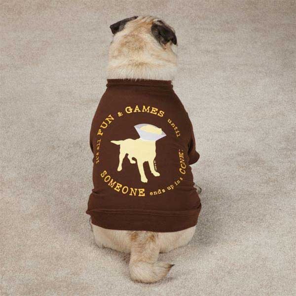 T Shirt Instead Of Cone For Dog