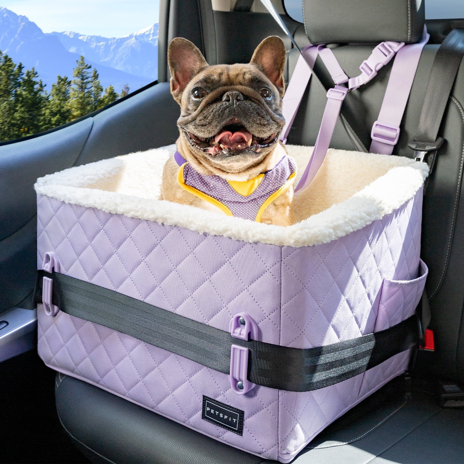 PETSFIT Dog Booster Car Seat, Soft Foam,Patented Safety Buckles, Storage Pockets and Detachable Clip-On Safety Leash, 30 LBS (Purple)