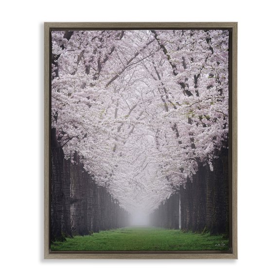 Stupell Industries French Country Cherry Blossom Grove Brown Floating Frame Canvas Art, 25 x 31, by Martin Podt