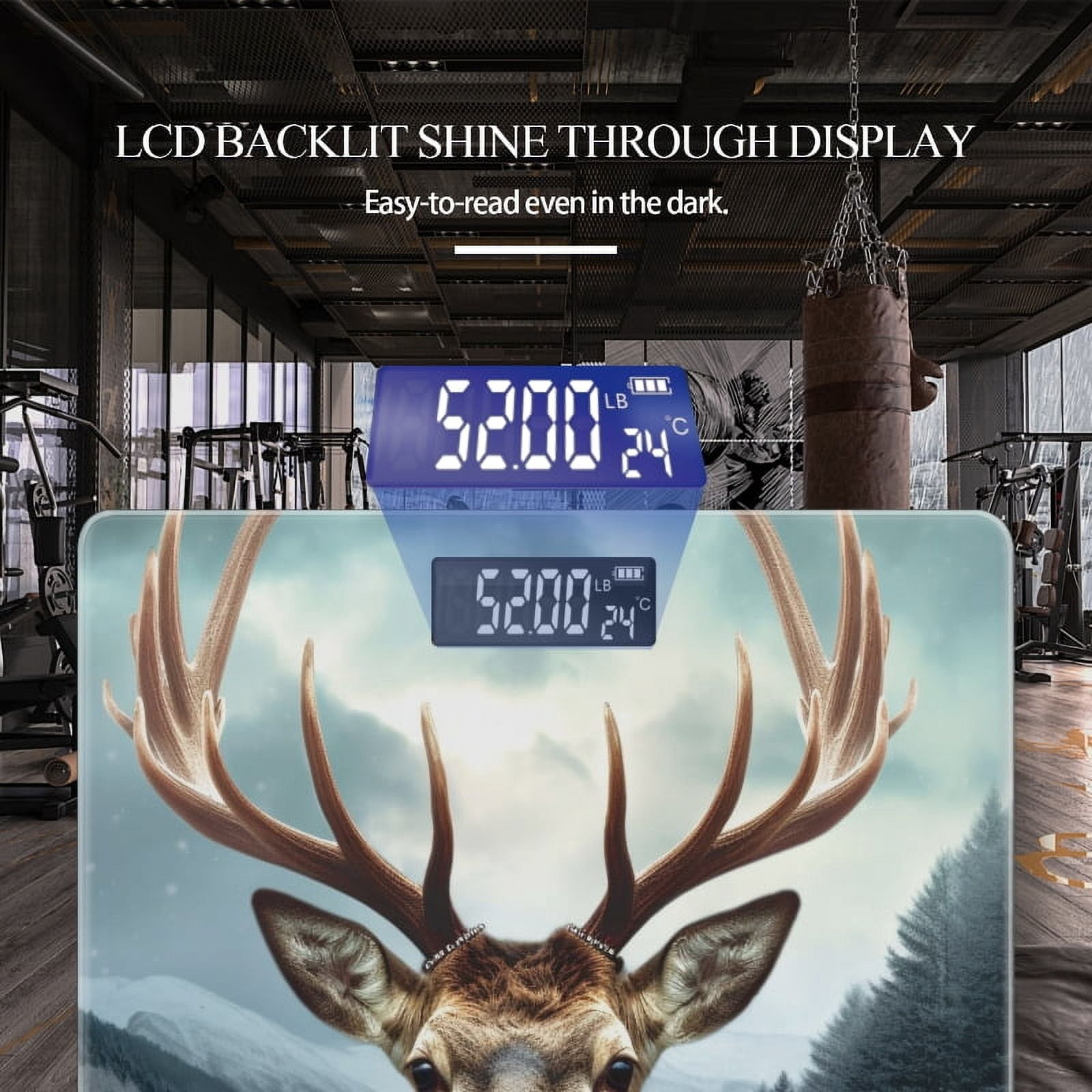 High Precision Body Weight Scale Smart Bathroom Scales with Large LCD Display(400lbs),Decorative for Bedroom-Deer Standing On The Side Of Road