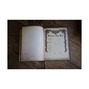 Pathfinder Complete Rogue Chronicle