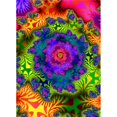 thumbnail image 1 of Vivid Abstract Image Poster Print by Paul Sale, 28 x 38 - Large, 1 of 1