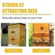 thumbnail image 3 of Cebo para enjambres, cebo para atraer abejas, cebo Carpenter Bee Brothers, para atrapar enjambres de abejas, aerosol natural para cebos de enjambres, 3 piezas, 3 of 5