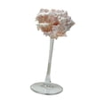 thumbnail image 4 of Copa de champán con forma de caracola, regalo de Navidad, copas de Martini únicas para adultos D, 4 of 9