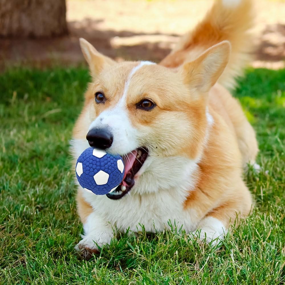 Immortal Toy for Aggressive Chewers, Squeaky Dog Ball Squeaky Dog Toys Natural Latex Rubber Balls for Small Dogs Puppies Cute Dog Squeak Toys Play Ball Tennis Ball, football, volleyball