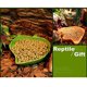 thumbnail image 4 of Plato en forma de hoja, cuenco de agua para reptiles, para beber y comer, tortuga, maíz, serpiente, mascota gateadora (1 pieza, verde) ER, 4 of 5