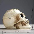 thumbnail image 4 of Halloween Skull Head,Skull Ashtray Plant Pot Resin Human Skull Decor Gift Ornament for Party Halloween Bar Home Scary Decoration, 4 of 5