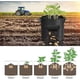 thumbnail image 5 of Paquete de 2 bolsas para cultivo de patatas, bolsas de cultivo de 10 galones, maceta con asas y ventana de cosecha para patatas, tomates, bolsas para plantar en jardinería, 5 of 5