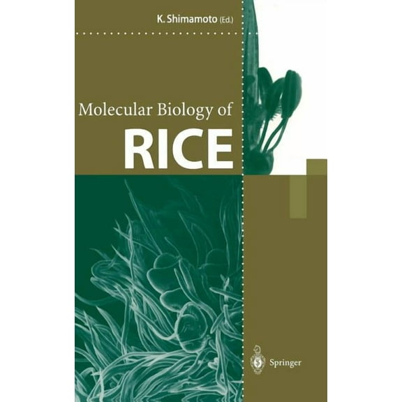 Molecular Biology of Rice, (Hardcover)