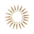 thumbnail image 1 of Billuyoard Pinzas para ropa de 20 piezas, calcetines, sábanas, pinzas a prueba de viento, pinzas para la ropa artesanales multifunción, almacenamiento de Decoración del hogar Billuyoard HA066665-00, 1 of 6