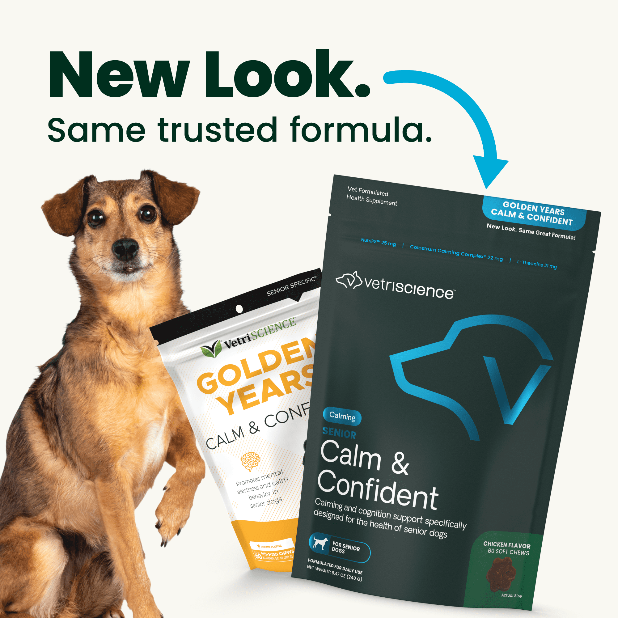 VetriScience Golden Years Senior Calm & Confident Chicken Flavored Chews with Colostrum, Calming & Brain Health Supplement for Senior Dogs, 60 Count