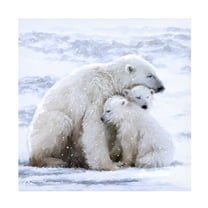 The Macneil Studio 'Polar Bear Cubs' Canvas Art
