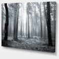thumbnail image 1 of Designart - Forêt Brumeuse Noire et Blanche - Impression sur Toile, 1 of 2