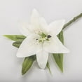 thumbnail image 4 of Teissuly Artificial Flowers Outdoor Artificial Plant Decor UV Resistant Fake Plastic Flowers Faux Shrubs for Home Garden Porch Hanging Planters Outdoor Spring Summer Decoration Teissuly WER202310161723, 4 of 9