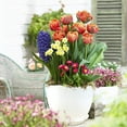 thumbnail image 3 of Honyear Plastic Planter with Saucers,8/7/6/5.5/5 Inch Flower Pot Indoor Modern Decorative Plastic Pots for Plants with Drainage Hole and Tray for All House Plants, Flowers, and Cactus, White, 3 of 6
