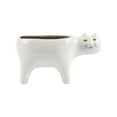 thumbnail image 2 of SeekLGT Cat Planter Ceramic Succulent Pot Mini Flower Pot Cartoon Design Cactus Planter for Desk Windowsill Home Office Decoration Small Indoor Plants Gift, 2 of 9