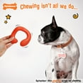 thumbnail image 3 of Nylabone C-Shuu Interactive Dog Toy for Small Dogs, Lightweight Squishy Toy, 3 of 13