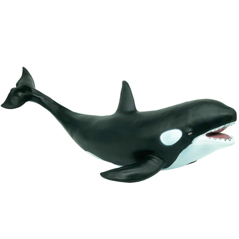 フェニックス　DIGENITE THERMO ORCA SHELL フェニックス DIGENITE THERMO ORCA SHELL フェニックス