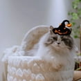 thumbnail image 5 of Cat Pet Funny Puppet Cat Accessories Cat Hat, 5 of 5