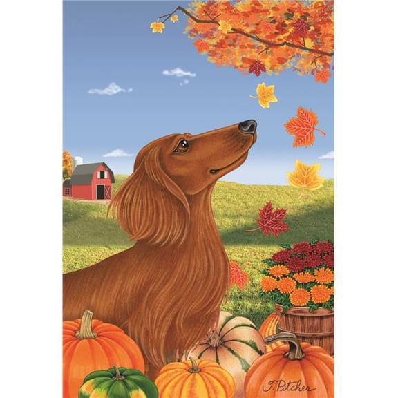 Best of Breed TP67138 Dachshund Red Longhaired Autumn Leaves House Flag