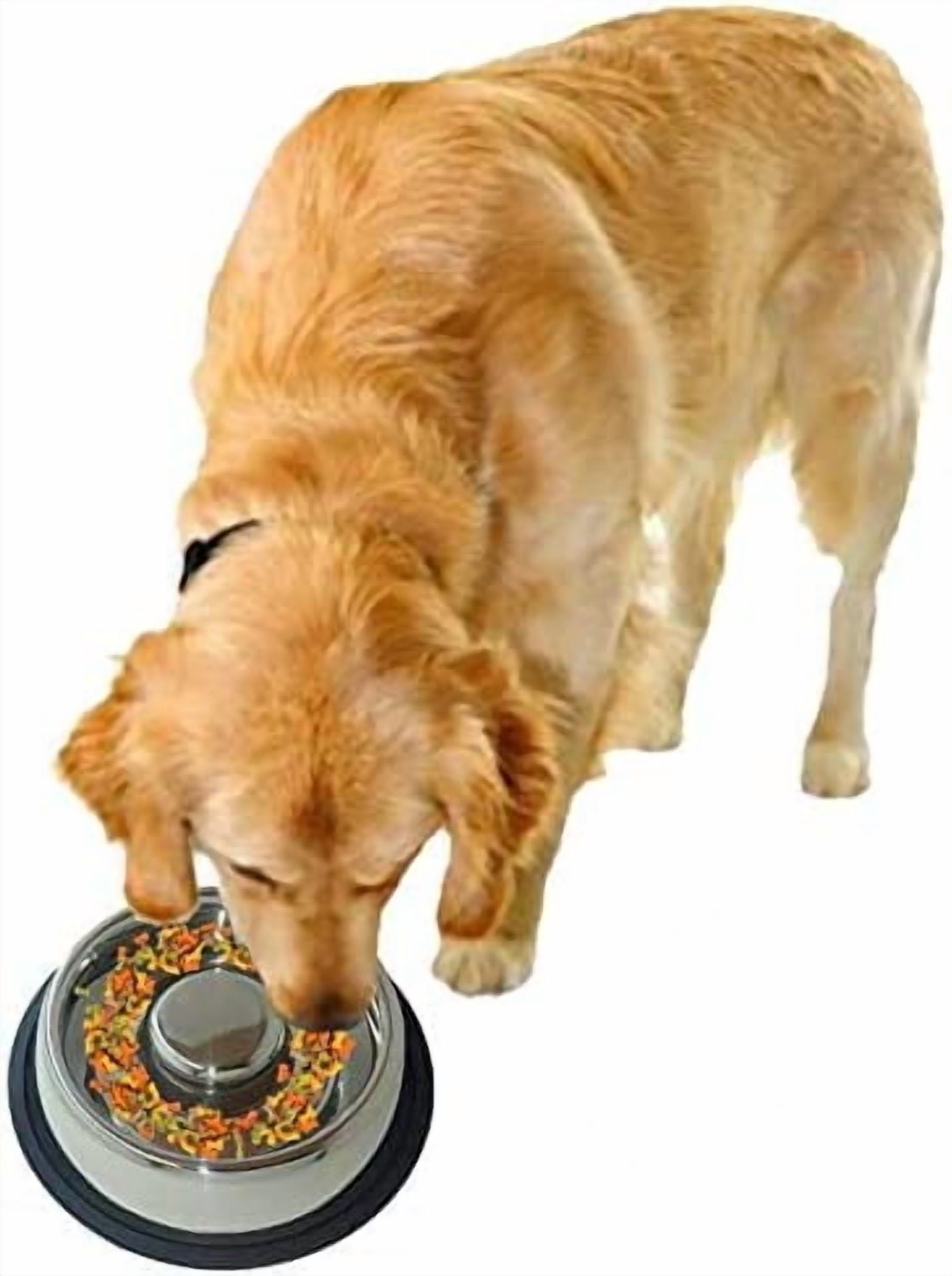 Stainless Steel Interactive Slow Feed Dog Bowl with a Blue Base, Fun Healthy Bloat Stop Feeder (Large)