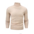 thumbnail image 1 of Pull Col Roulé Mode Haut de Gamme pour Hommes Automne Hiver Nouvelle version Coréenne Couleur Unie Pull Décontracté Chaud, 1 of 5
