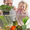 thumbnail image 5 of 10Pcs Aquatic Plant Fixed Holder Anti-Floating Aquarium Plant Fixing Pot Kit with Suction Cup Fish Tank Plants Fix Basket Kit Aquarium Landscape Accessories, 5 of 10