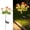 Orange40, variant on WDOBM Garden Decor for Outside, Decorative Garden Stakes for Outside, Decorative Garden Stakes for Plants, Fence Decorative Garden Stakes with Flowers for Spring Decor