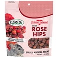 thumbnail image 3 of Exotic Nutrition Chinchilla Treat Sampler, 3 of 10