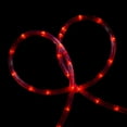thumbnail image 4 of Northlight 18' LED Christmas Rope Lights Red, 4 of 5