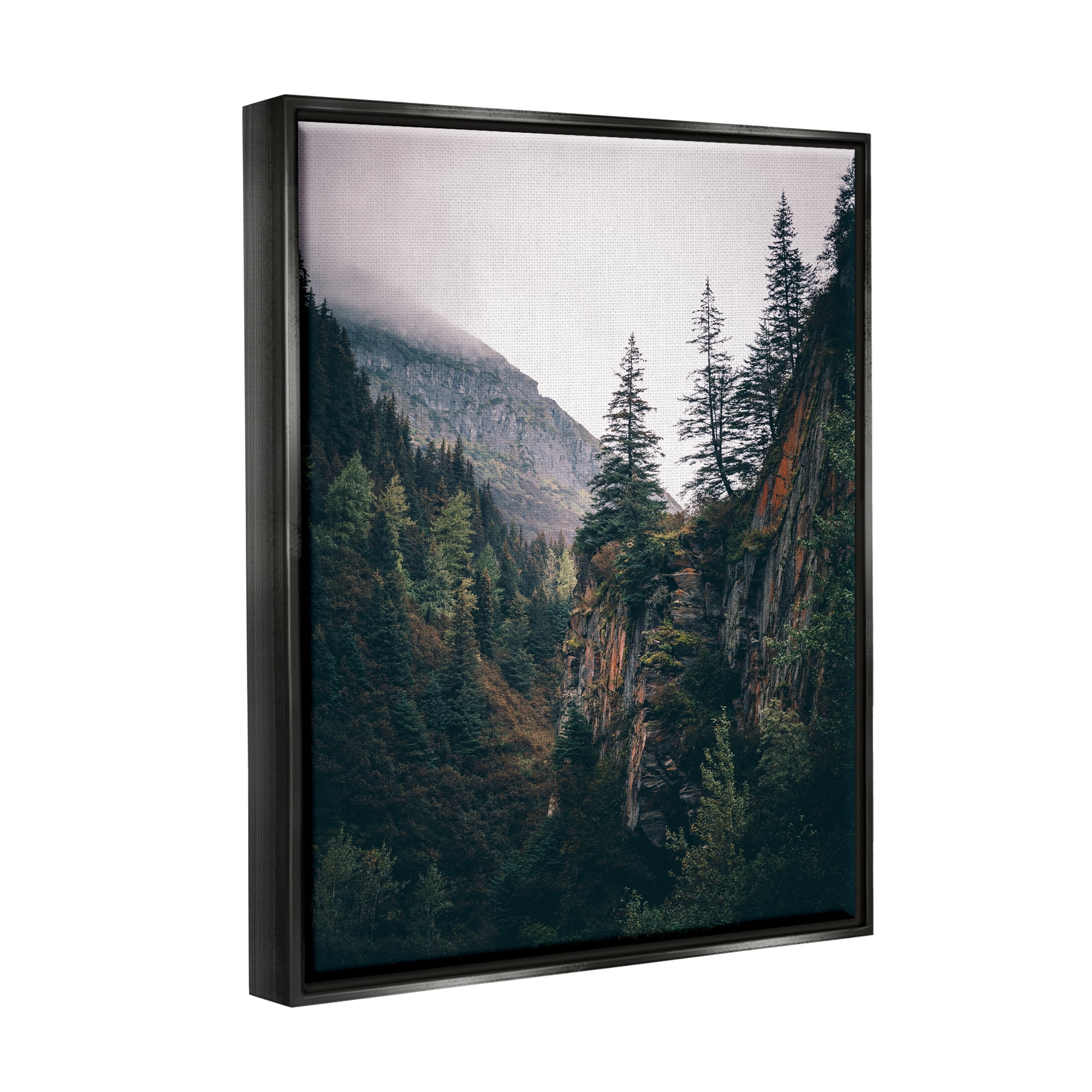 Stupell Industries Rustic Mountain Landscape Landscape Photography Black Floater Framed Canvas Art Print Wall Art, 17 x 21