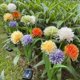 thumbnail image 4 of Solar Lawn Lamp Swaying Lights 5-Head Landscape Decorative Garden Lights Waterproof Outdoor Pathway Light for Yard Patio Pathway Lawn, 4 of 5