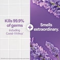 thumbnail image 4 of Lavender & Jasmine Multi-Surface Cleaner Spray Bottle Bleach Free - 32 fl oz, 4 of 15