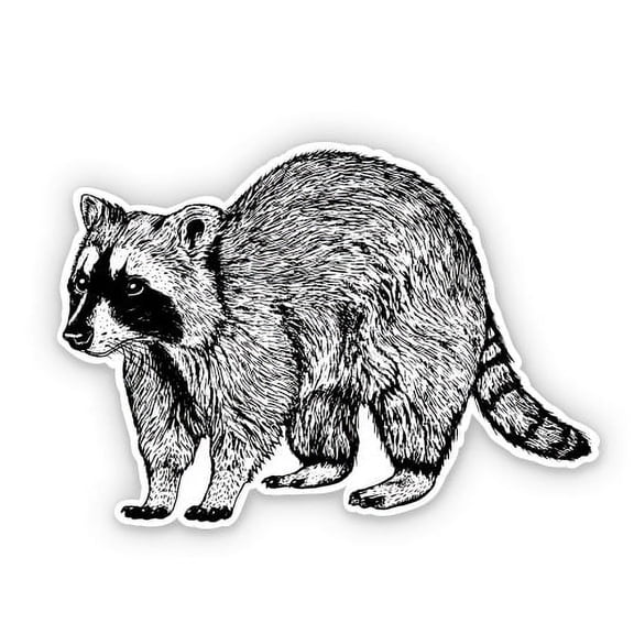 Raccoon - 3" Vinyl Sticker - For Car Laptop Water Bottle Phone - Waterproof Decal