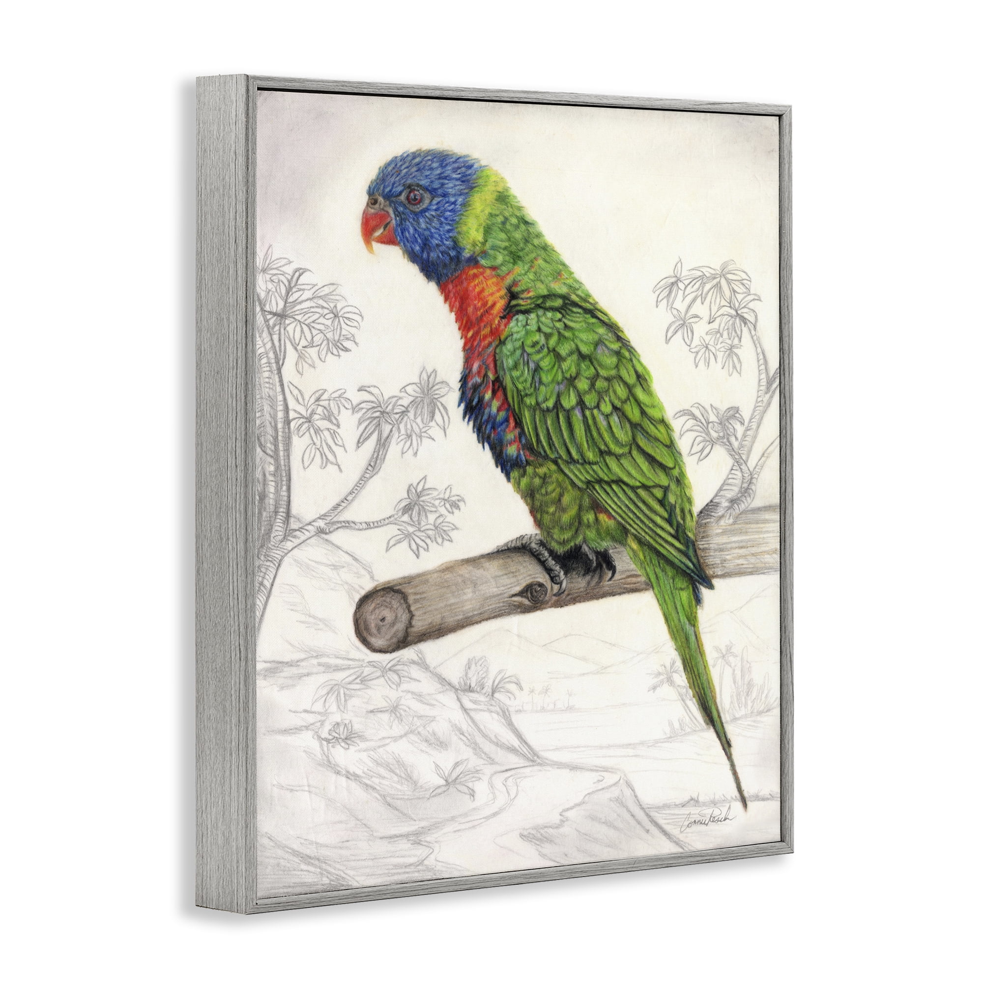 Stupell Industries Lorikeet Sketched Nature Animals & Insects Painting Gray Framed Art Print Wall Art, 16 x 20