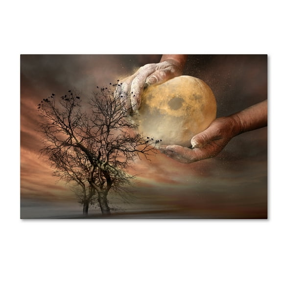 Trademark Fine Art 'Dough' Canvas Art by Elisaveta Jordanova