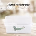 thumbnail image 5 of Reptile Cage Tank Home Acrylic Insect Terrarium Salamander Breathable Amphibious Horned Frog Turtle Breeding Box, 5 of 5