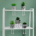 thumbnail image 5 of Expresión Adornos En Maceta,Plantas Artificiales Decoraciones En Macetas Plantas Artificiales Decoraciones En Macetas Plantas Suculentas Maceta Características Líderes De Clase, 5 of 5