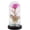 H, variant on Gifts for Women,LED Color Rose Flower,Forever Eternal Crystal Flower Light,Roses in Dome Butterfly,Suitable for Valentine's Day,Wedding,Birthday Gift(4.3x7.8inch)