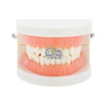 thumbnail image 2 of Unique Bargains 1 Pc Fake Grills Hip Hop Hollowout Double Teeth Grillz Silver Tone, 2 of 6