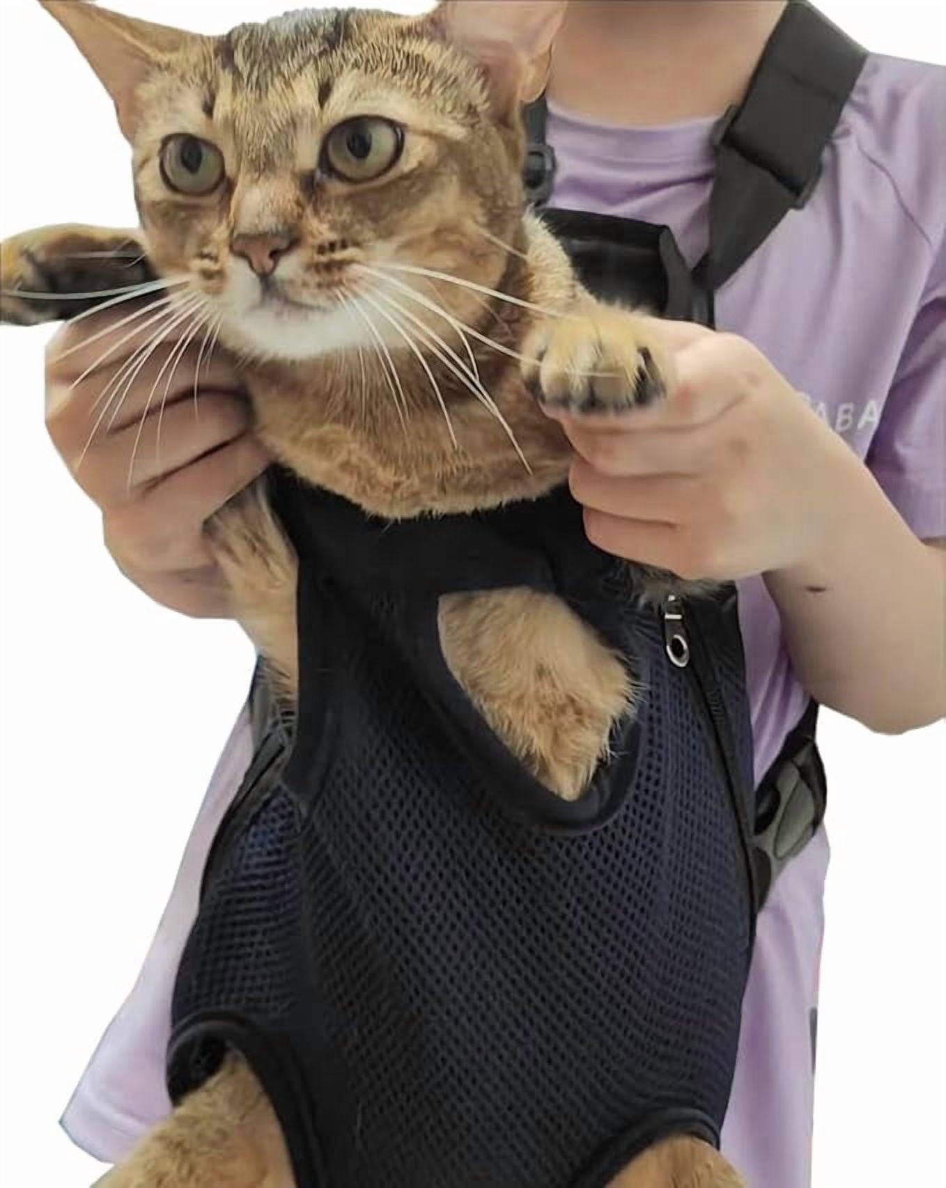 Taotanxi Dog Carrier Backpack, Adjustable Dog Pet Cat Front Carrier Backpack | Ventilated Dog Chest Carrier for Hiking Camping Travel, for Small Medium Dog Cat Puppies, Large, 12-16 lbs, Navy