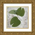 thumbnail image 1 of Sommers, Mindy 26x26 Gold Ornate Wood Framed with Double Matting Museum Art Print Titled - Herbarium, 1 of 4