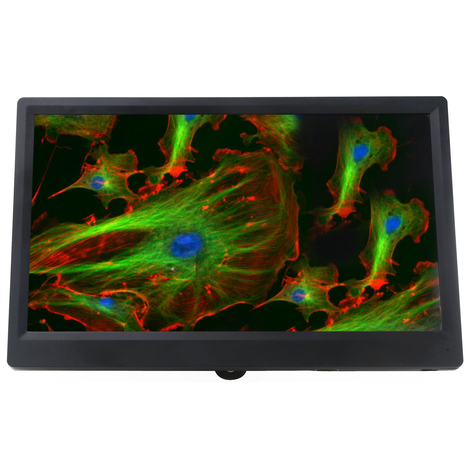 AmScope Black 11.6&quot; HDMI 1080p IPS Monitor with Mount New