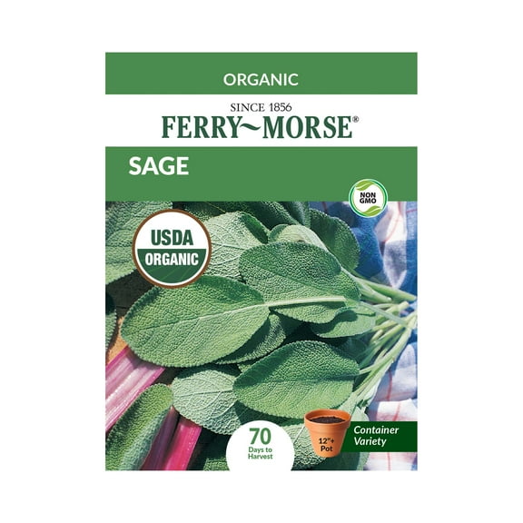 Ferry-Morse Organic 330MG Sage Perennial Herb Seeds, Full Sun