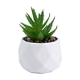 thumbnail image 6 of Artificial Potted Plant Succulent With Pot Small Faux Fake Cacti 2024K X7R1, 6 of 6