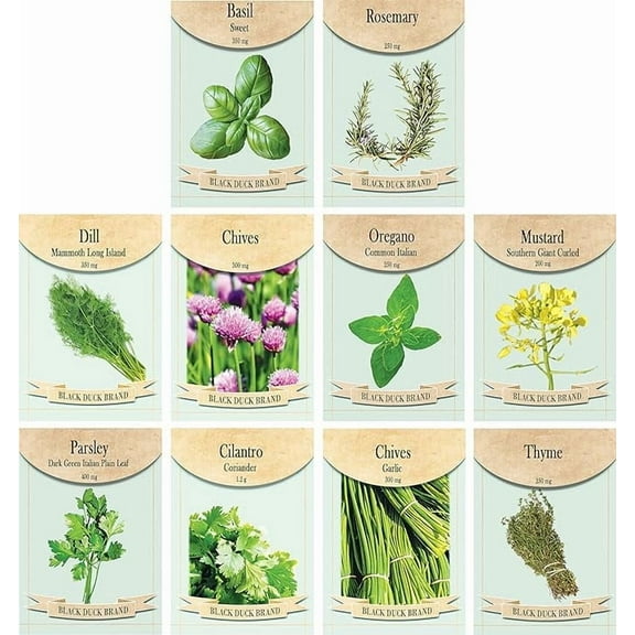 Set of 10 Herb Seed Packets - Heirloom & Non-GMO - Create a Bountiful Garden - Easy Garden Sets (Set 4 (10 Herb Packets))…