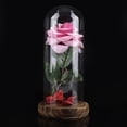thumbnail image 2 of Rosa del Principito, Flor de Rosa eterna preservada con Cadena LED en cúpula de Vidrio.Buen Regalo para Novia, día de San Valentín, día de Las Madres (Rojo)(Rosado) Ecomeon no, 2 of 6
